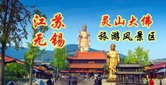 www.操逼江苏无锡灵山大佛旅游风景区